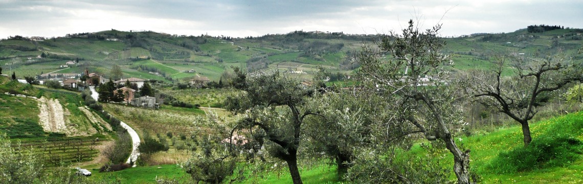 Biken in den Hügeln der Emilia Romagna