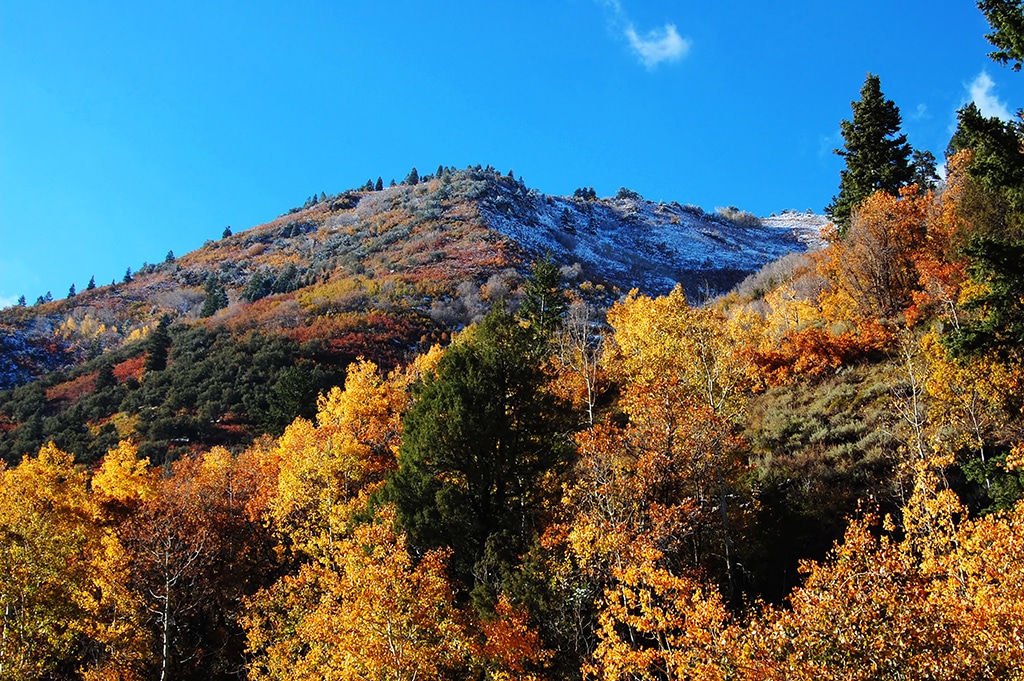 Mountainbike München - eine Auswahl an Touren in den Voralpen