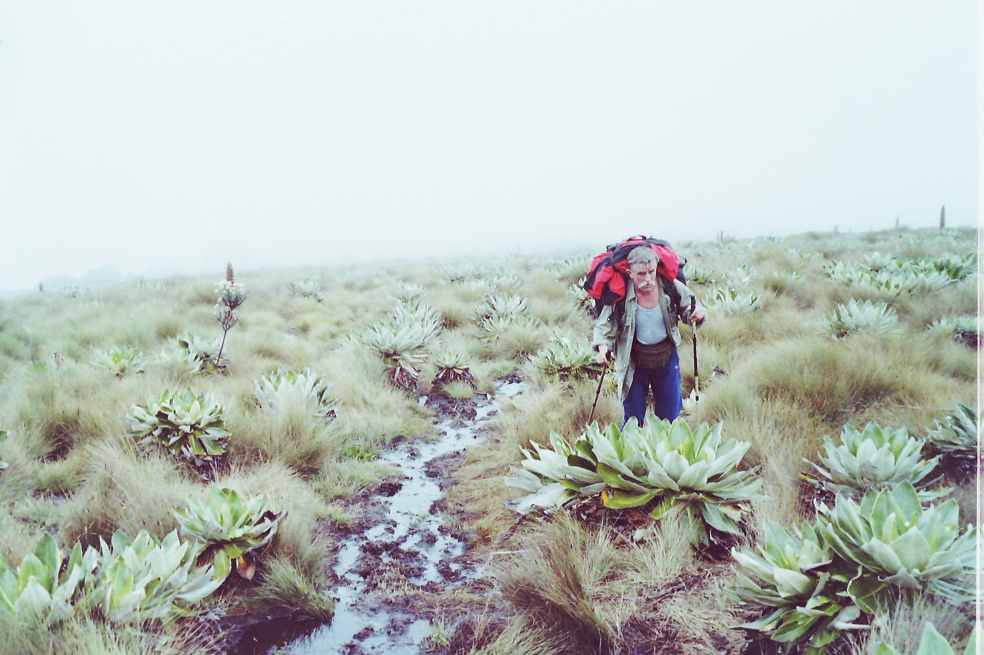 Ivo Meier. Bergsteiger und Alpinist