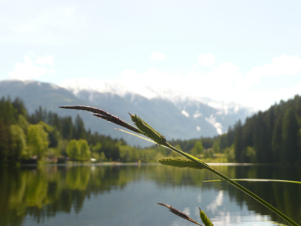 Der einzige Naturbadesee in den Lienzer Dolomiten