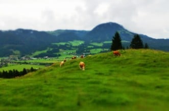 Single wandern dornbirn