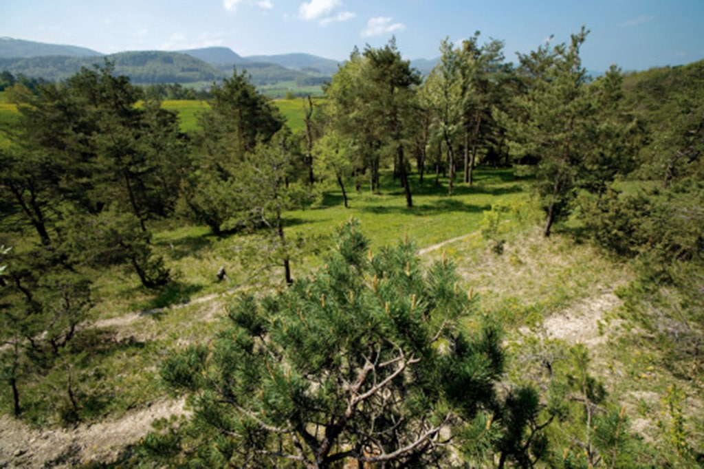 Aargau Jurapark