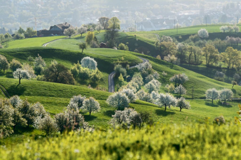 Aargau Kanton