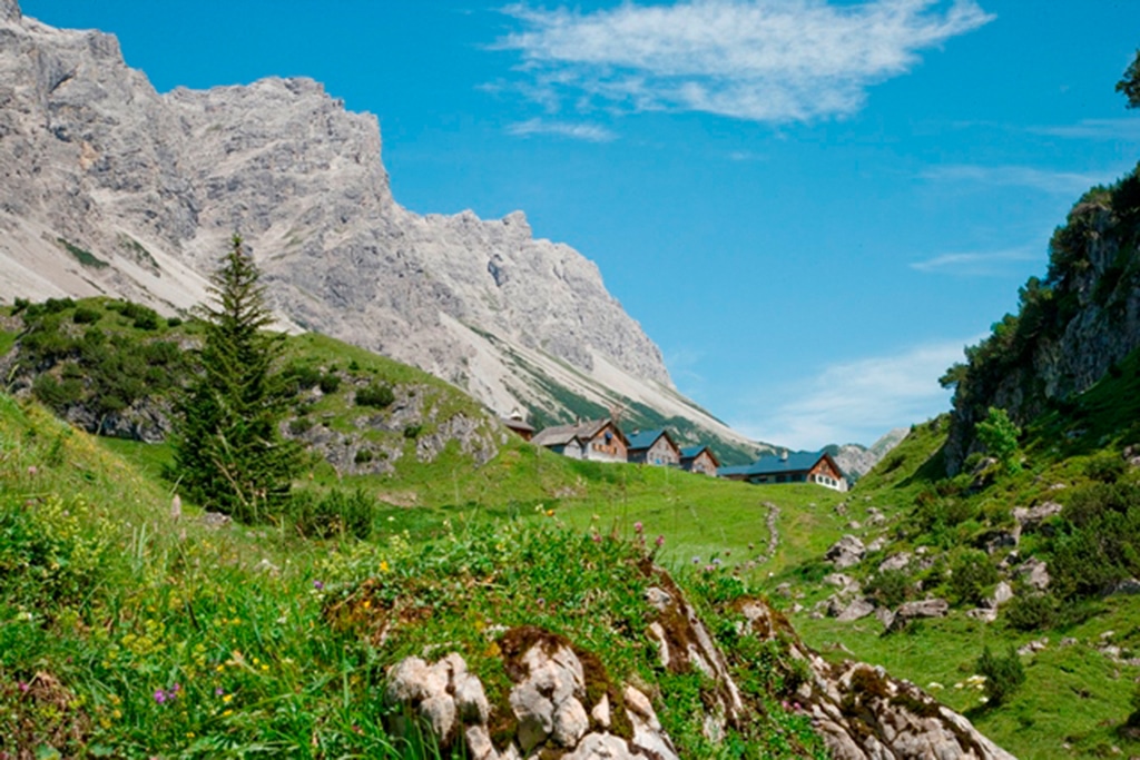 Klesenza Alpe in der Alpenregion Bludenz