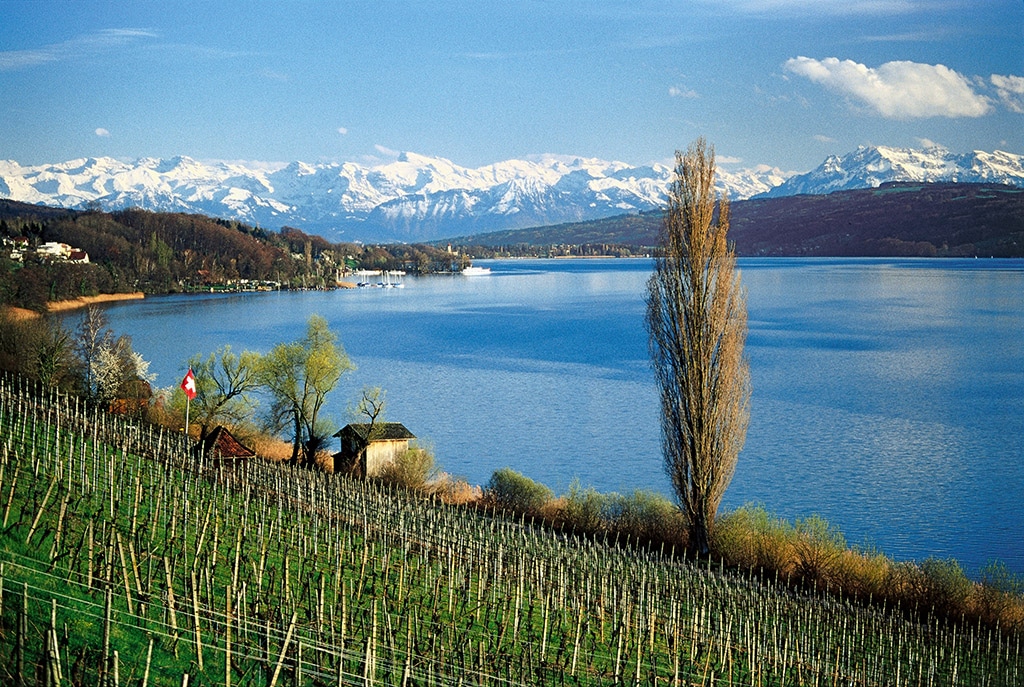 Hallwil Aargau