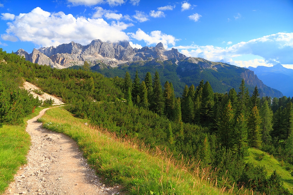 Mountainbike Dolomiten: Die Latemar Umrundung