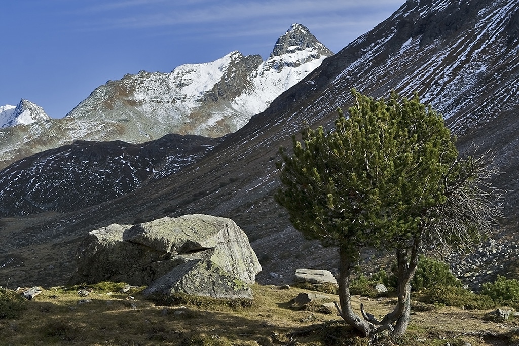 Alpenregion Bludenz: Wander- und Urlaubsregion speziell für Familien