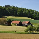 Wandern Odenwald: Erholung in der sagenhaften Landschaft