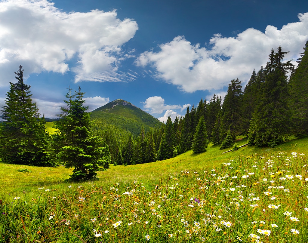 Reutte Tirol: Wandern in den Lechtaler Alpen