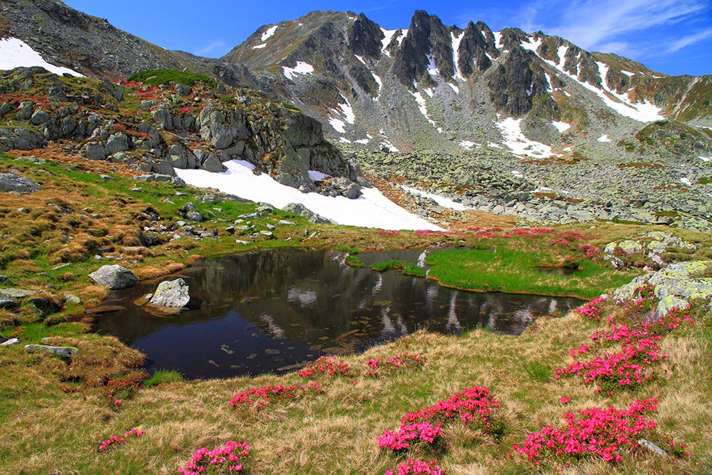 Wildspitz Schweiz - ein Traumberg - Wandern im Kanton Zug - ein Überblick