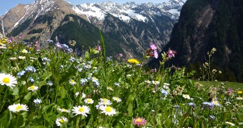 Das Lechtal in Tirol