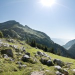 Im Rofangebirge Wandern: Bergwanderung zur Rofanspitze oder zur Ampmoosalm