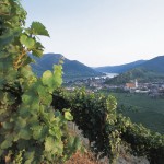 Weinviertel Österreich – familienfreundliches Radwegenetz zwischen malerischen Weingärten