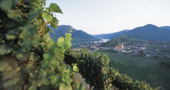 Weinviertel Österreich