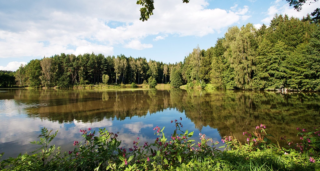 Diepoltsreuth Weiher Gruber