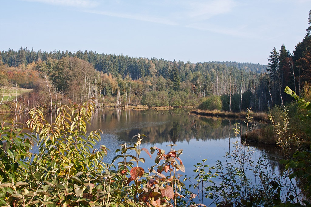Grosser Gaisweiher Oberpfaelzer Wald