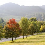 Waldviertel Österreich – die raue Schönheit in Niederösterreich