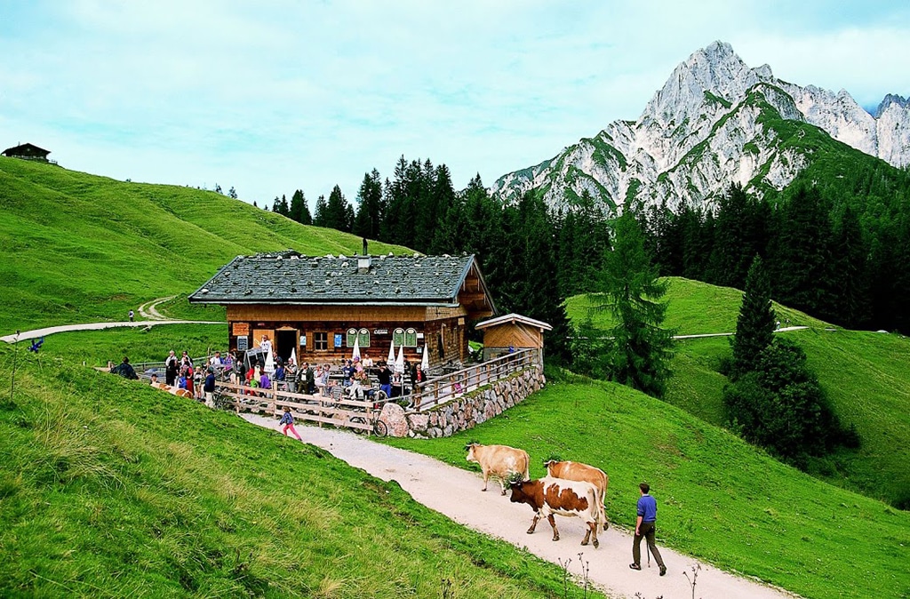Wander im Salzburger Land: Die lLitzalm