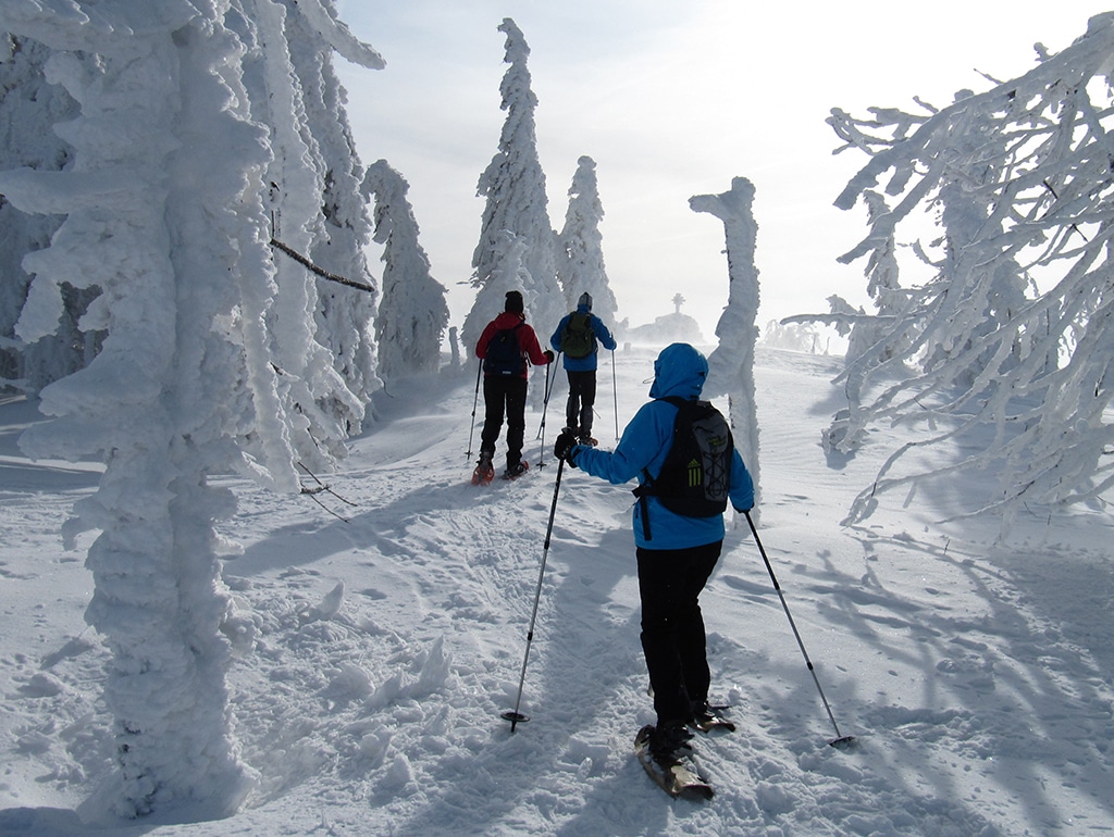 Winter Zwercheck Schneeschuhwanderer