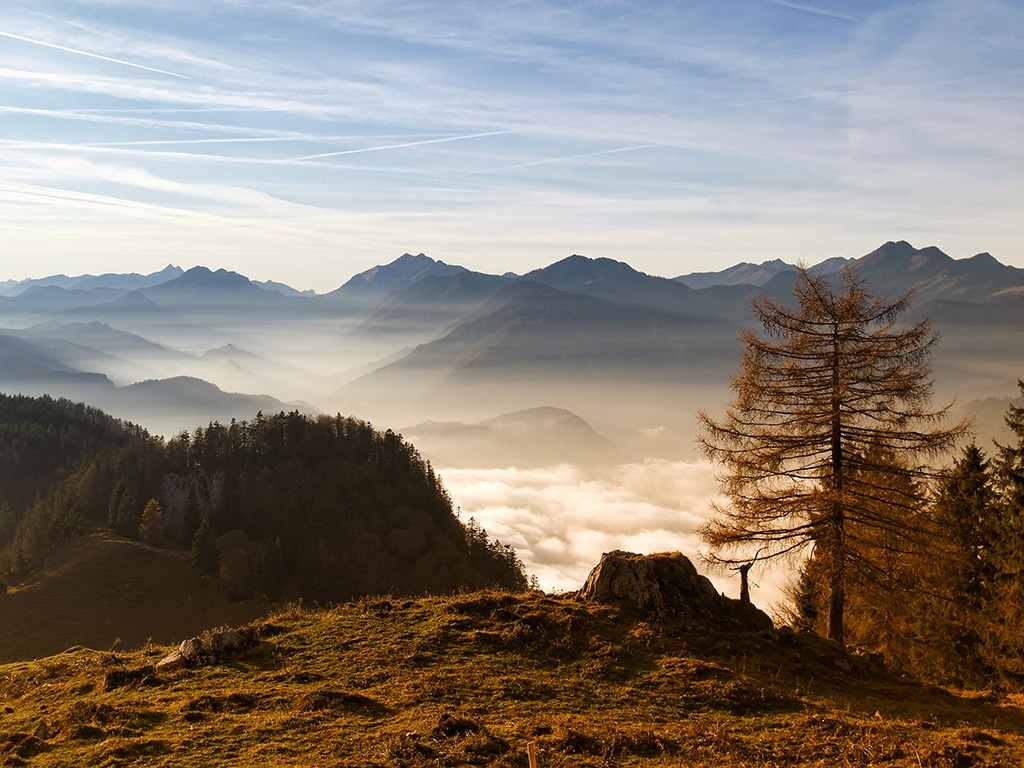 Bayerischer Wald Urlaub
