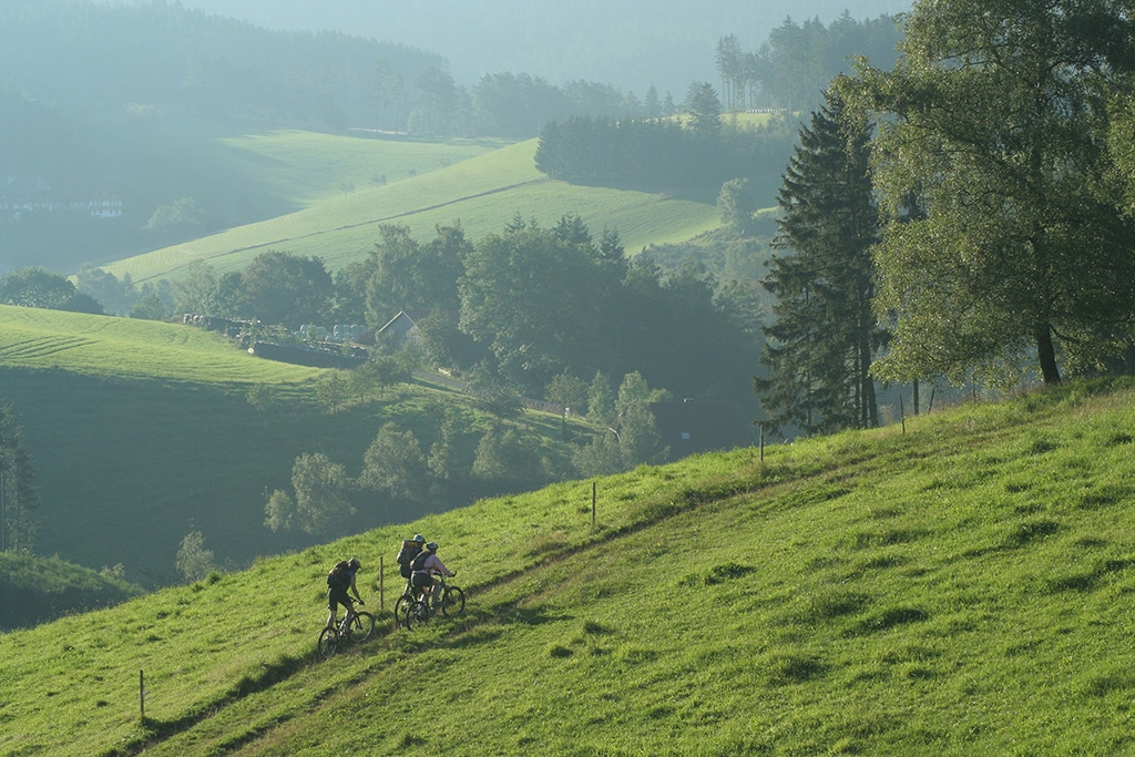 Bike Crossing Schwarzwald Morgenstimmung