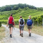 Das Heilbronner Land – Wandern, Wein und Wellnes
