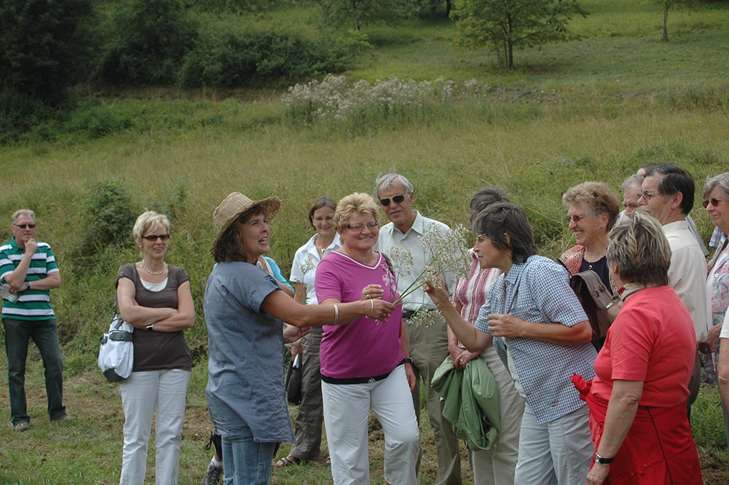Der Hohenloher Kultursommer