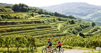 Radtouren Kaiserstuhl