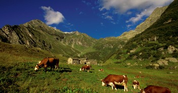 Die Via Alpina - wandern über den Alpenbogen