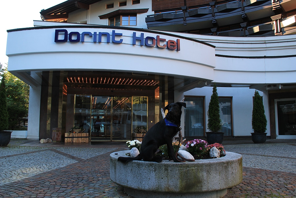 Wer seinen Vierbeiner mit den Urlaub nehmen möchte findet mit dem Dorint Hotel Seefeld Tirol  einen perfekten Gastgeber