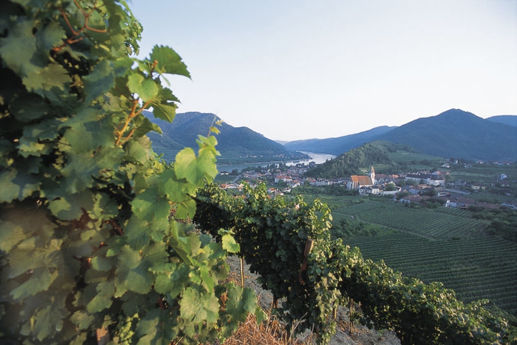 Das Weinviertel in Niederösterreich