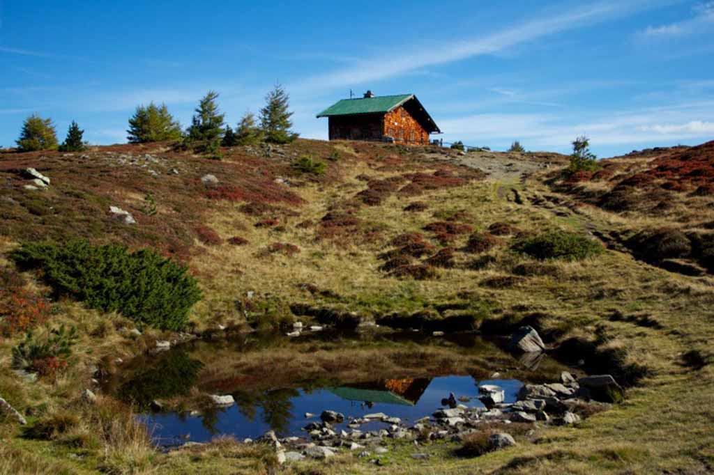 Wandern am Zirbenweg