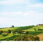 Das Südburgenland – sanfte Hügel gehen in die pannonische Ebene über