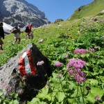 Lesachtal Kärnten – ein Paradies für Gipfelstürmer und Genusswanderer