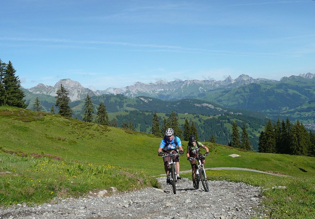 Mountainbike Wispile