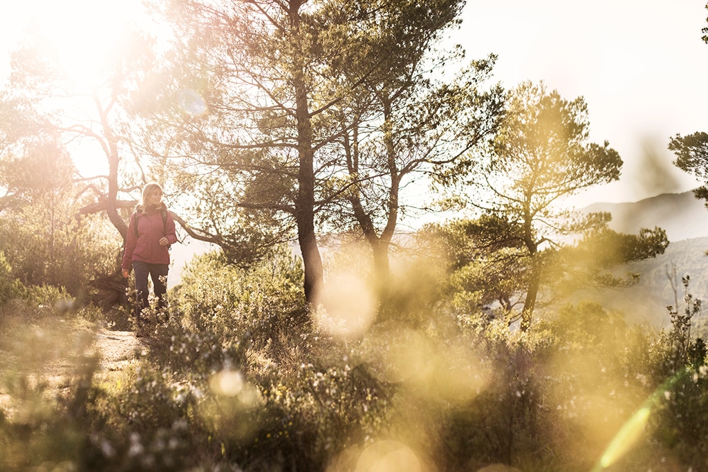 Die Eider Escape Series